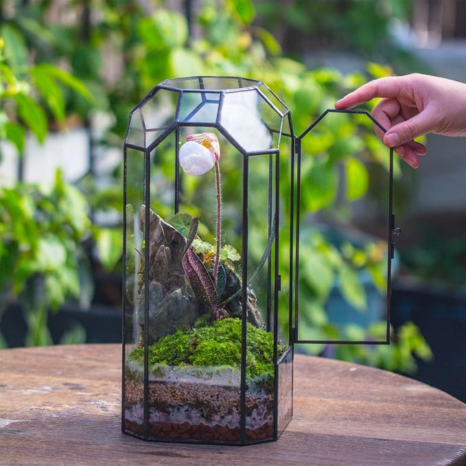 NCYP Glass Geometric Octagon Plant Terrarium with Door 5.5"x5.5"x12.8" | Indoor Vintage Planter for Tall Plants, Orchid, Small Begonia Pitcher, Home Garden Office Tabletop Decor (Terrarium Only)