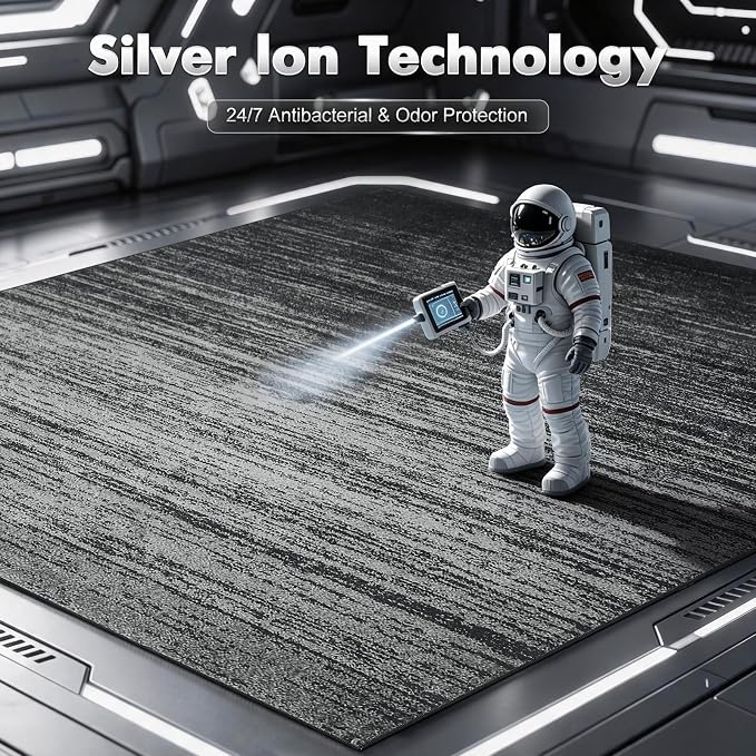 LIANLAM 5x7 Silver Infused Self-Cleaning Rug for Living Room (5x7,Black) | NASA-inspired silver infused fabric washable rug,long-lasting surface freshness, low-pile minimalist versatile home decor