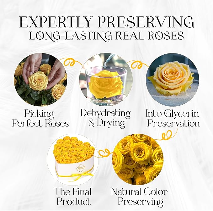 GLAMOUR BOUTIQUE Preserved Roses in a Box - Gifts for Her, Wife & Mom, Rose Flowers Forever Decor for Birthday Gift, Get Well Flower Bouquet Cased in White Box with Cover - Yellow - 27 (Color-Treated)