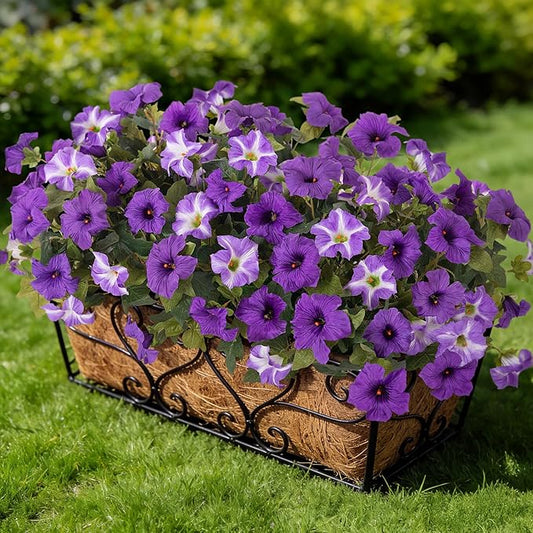 Ammyoo 6 Pcs Artificial Flowers Fake Petunias for Outdoors, Faux Flowers for Outdoor Planter, UV Resistant Realistic Fake Plants for Outside No Fade for Garden Porch Patio Indoor Room Decor(Purple)