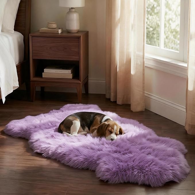 Premium Genuine Sheepskin Area Ruge - Real Wool Fur Shaggy Carpet | Fluffy Soft Natural Lambskin Rug Seat Chair Covers for Couch Sofa Bedroom Living Room(Violet,2×3 Feet Sheepskin)