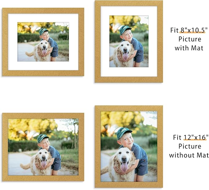 Picrit 12x16 Picture Frame Set of 12, Display 8.5x11 with Mat or 12x16 without Mat, Photo Frames for Wall Mounting Display, Gold