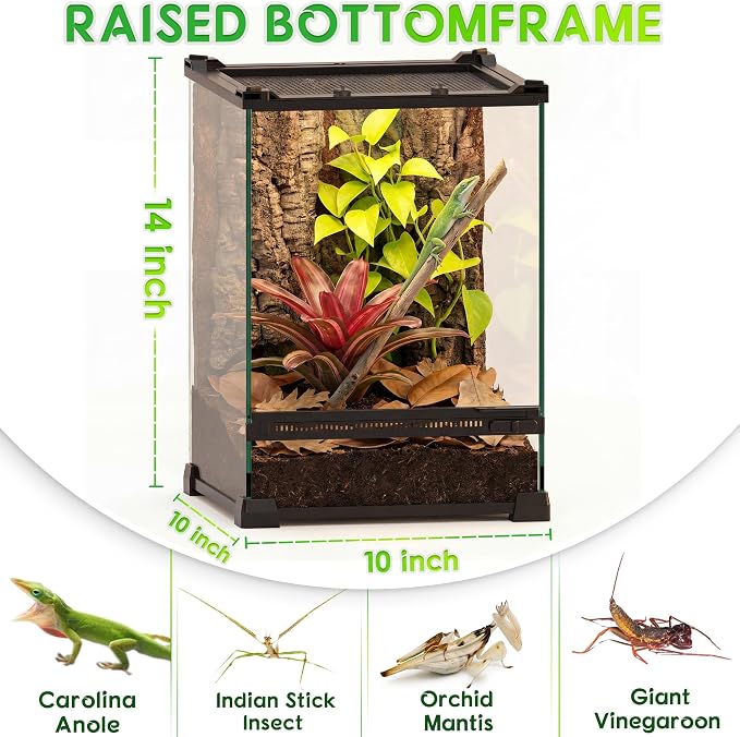 10"x10"x14" Reptile Terrarium, Single-Door Glass Arboreal Vivarium for Small Arboreal Lizards Such as Juvenile Green Anoles, with Lock, Cable Port & Waterproof Deep Base Below Front Door