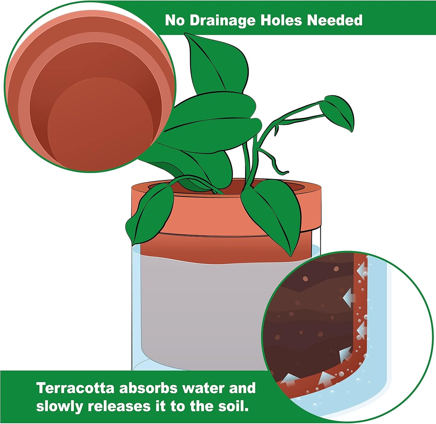 Phoenix Vine 6 Inch Self Watering Planter Pot, Terracotta Clay Pot with Glass Reservoir for Indoor Plants, Herbs, Flowers, Set of 1, 52-A-F-1