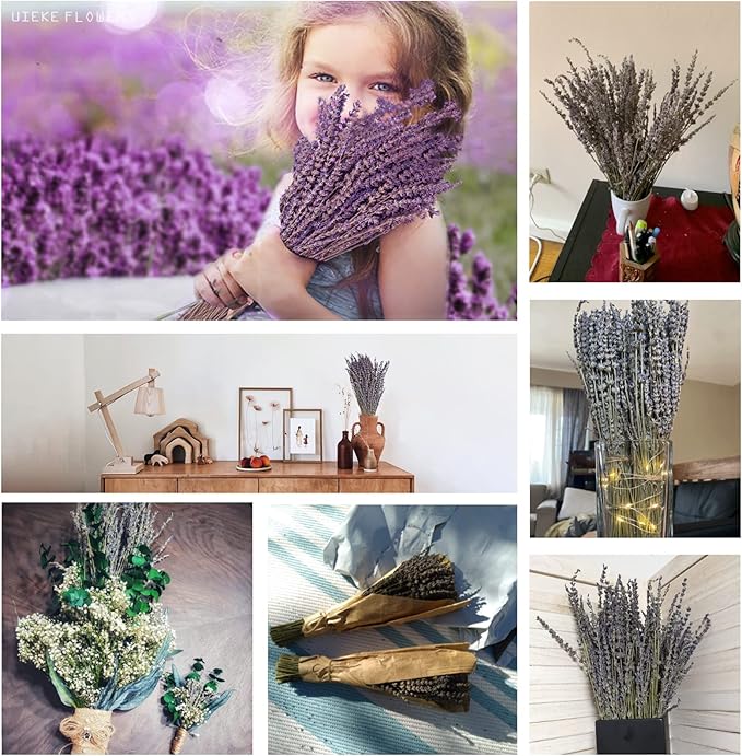 Uieke Dried Lavender Bundles, Natural Dried Lavender Flowers 150 Stems 15-17" for Shower Home Fragrance Weeding Crafts Decor 50g(1.76oz)
