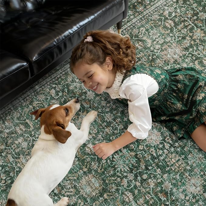DCX Green 5x7 Rug, Kid & Pet Friendly with Rubber Back Non Slip, Machine Washable Stain Resistant Vintage Traditional Distressed Carpet, Rug for Living Room, Bedroom, Neutral Home Decor