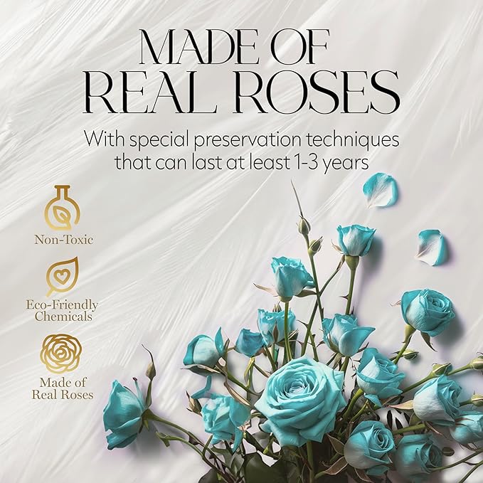 GLAMOUR BOUTIQUE Flowers Forever Gift Box, 12 Real Preserved Roses in Velvet Box, Floral Gift for Her, Mom or Wife for Birthday, Mother’s Day, Anniversary or Graduation, Teal (Color-Treated)