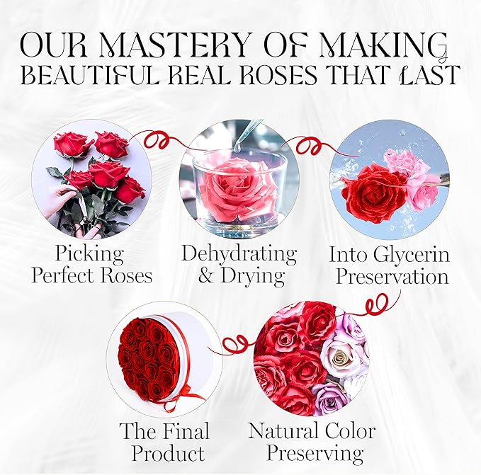 GLAMOUR BOUTIQUE Flowers Forever Gift Box, 12 Real Preserved Roses in Velvet Box, Floral Gift for Her, Mom or Wife for Birthday, Mother’s Day, Anniversary or Graduation, Red (Color-Treated)