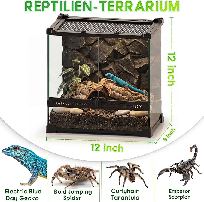 12"x8"x12" Reptile Terrarium, Double-Door Glass Arboreal Vivarium for Small Climbing Lizards Such as Juvenile Agamas, with Lock, Cable Port & Waterproof Deep Base Below Front Doors