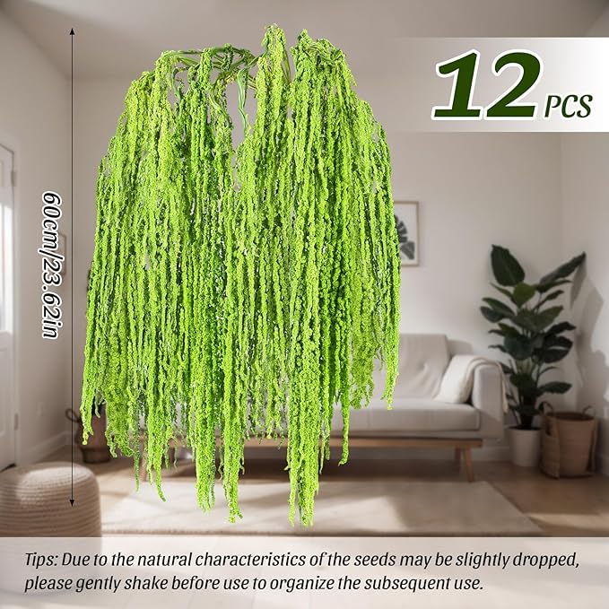 Suncalla 12 Pcs Green Spring Natural Dried Amaranthus Hanging Flowers Amaranthus Artificial Flowers for Wedding Arch Bouquet Floral Garland Wall Home Decoration (23 Inch)
