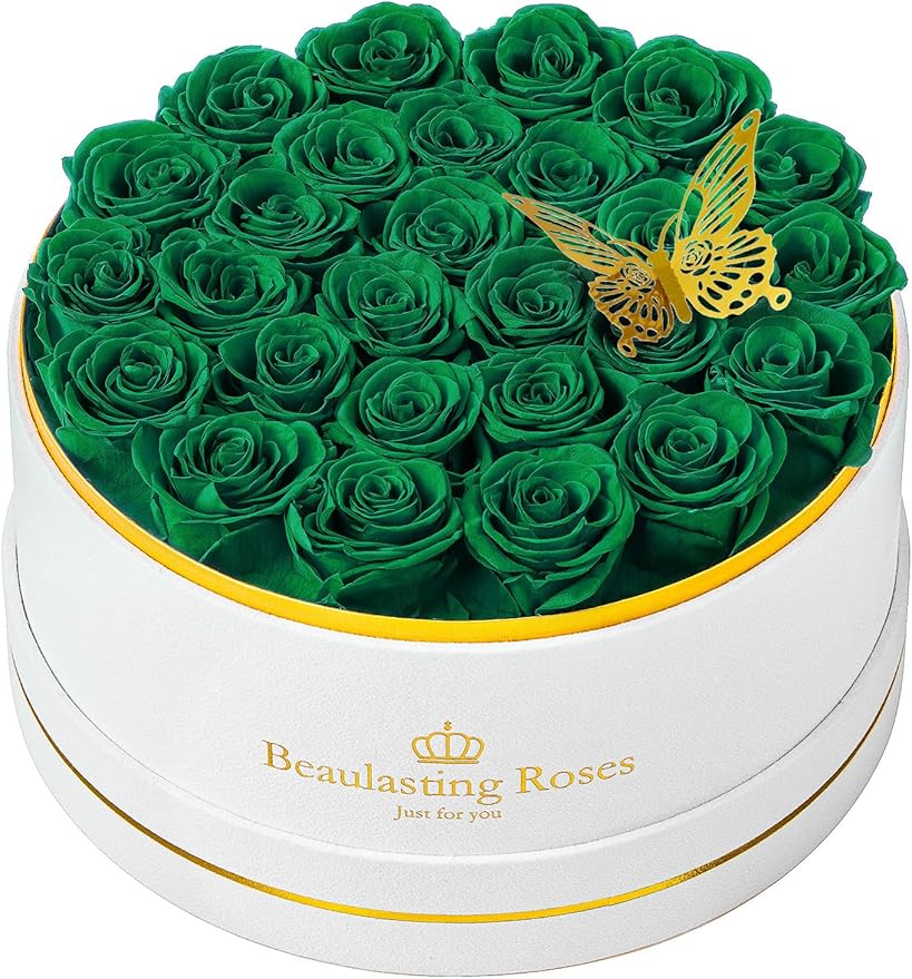 27 Preserved Roses Forever Flowers Real Roses in a Box Mother's Day Birthday Flowers for Her Mom Women Wife Valentine's Day, Green Roses