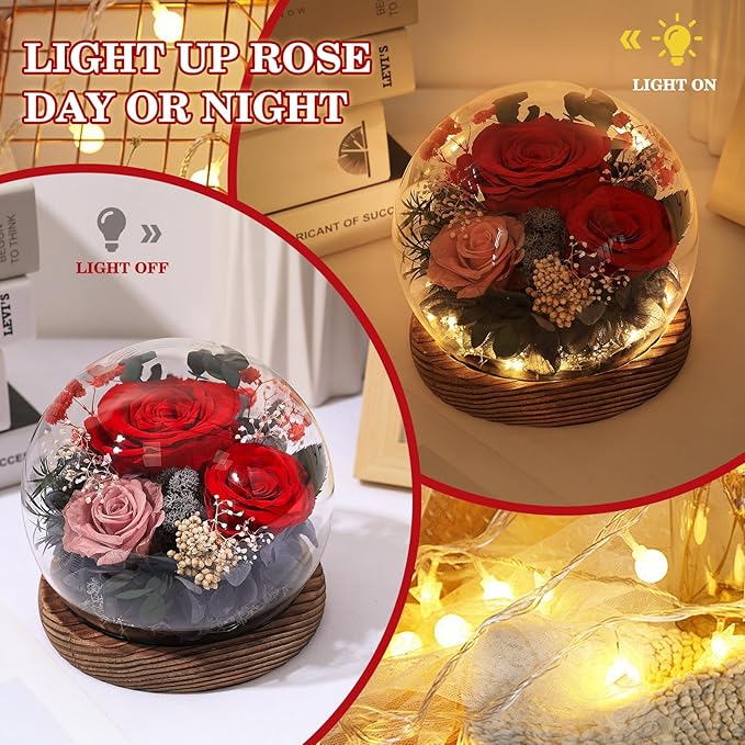 Gifts for Mom Grandmas Birthday Gifts for Women Flowers for Delivery Prime Preserved Fresh Flowers in Glass Dome Forever Real Eternal Roses Mother Days Anniversary for Sister Daughter Wife Girlfriend