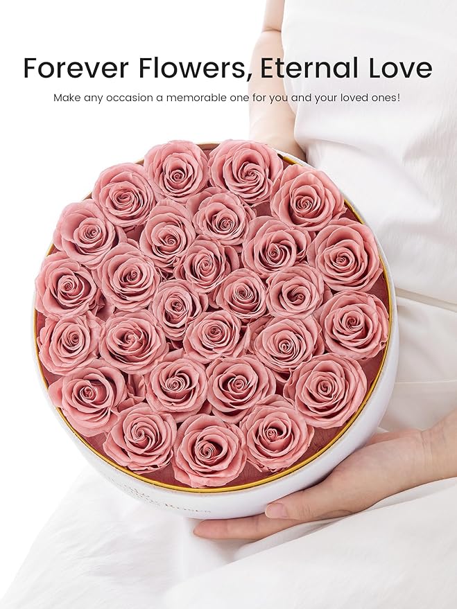 27 Preserved Roses Forever Flowers Real Roses in a Box Mother's Day Birthday Flowers for Her Mom Women Wife Valentine's Day, Dusty Pink Roses