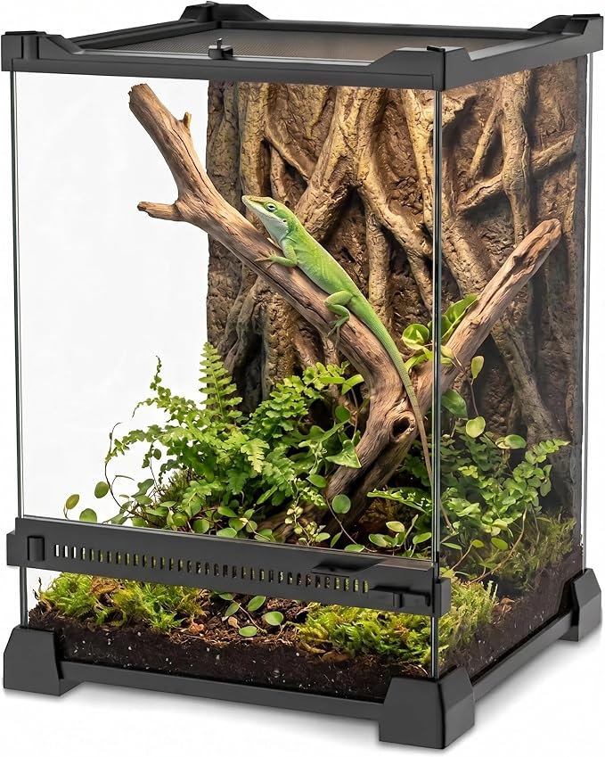 8"x8"x12" Reptile Terrarium, Single-Door Glass Arboreal Vivarium for Small Arboreal Lizards Such as Small Day Geckos, with Lock, Cable Port & Waterproof Deep Base Below Front Door