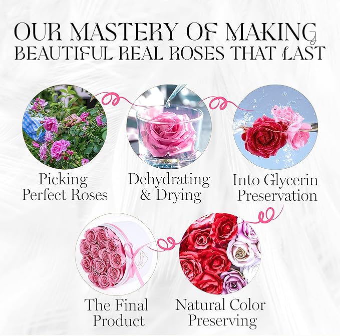 GLAMOUR BOUTIQUE Flower Forever Gift Box, 12 Real Preserved Roses in Round Velvet White Box, Handmade Floral Gift with Rose Petals for Birthday, Anniversary or Graduation, Pink (Color-Treated)