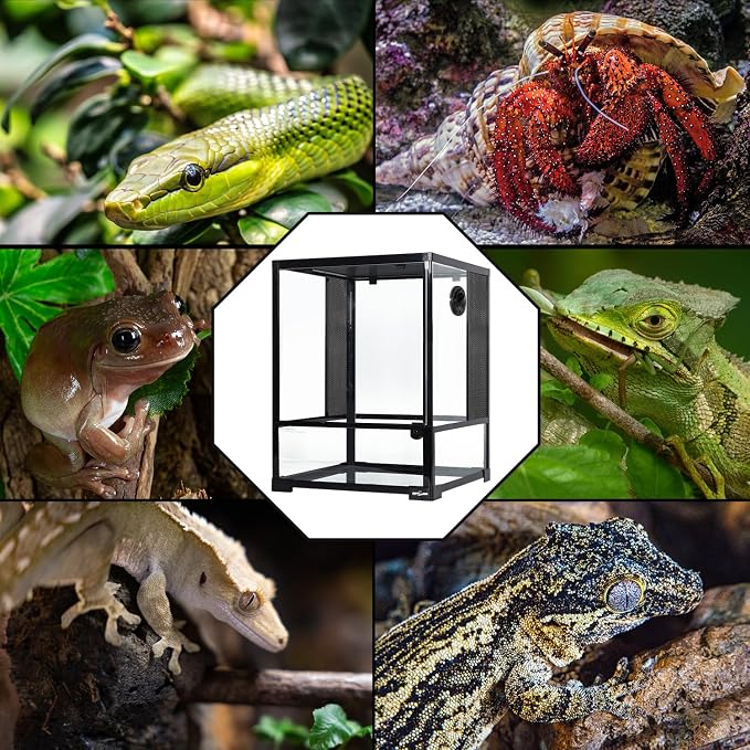 REPTI ZOO 30 Gallon Reptile Glass Terrarium, 18" x 18" x 24" Rainforest Habitat Tank with Front Opening Door, Knock-Down Vertical Reptile Terrarium with Top Screen & Side Mesh Ventilation