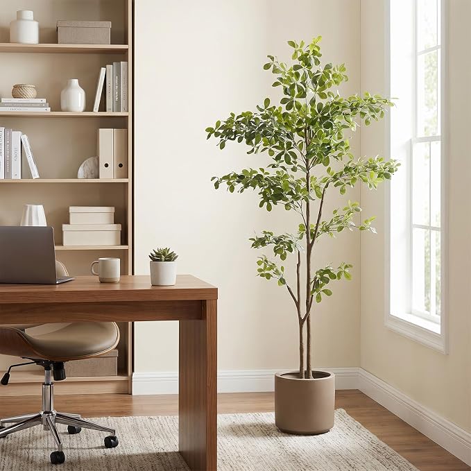 Black Olive Tree 6ft, Artificial Shady Lady Tree with Natural Trunk and Realistic Leaves, Tall Floor Plants for Living Room Decor Home Office Indoor Pack of 1