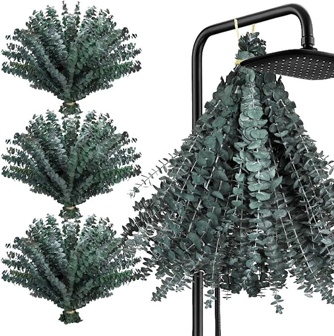 100 Pcs Preserved Eucalyptus Stems, 17" Dried Branches for Shower | Natural preserved eucalyptus for shower hanging, vase filler, weddings, bathroom décor and DIY home projects.