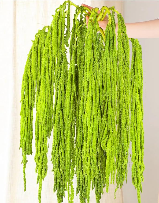 10Pcs Neon Green Dried Amaranthus Hanging Flowers – 23" Dyed Natural Preserved Flowers for Wedding Arch, Floral Garland, Rustic Vase Decor