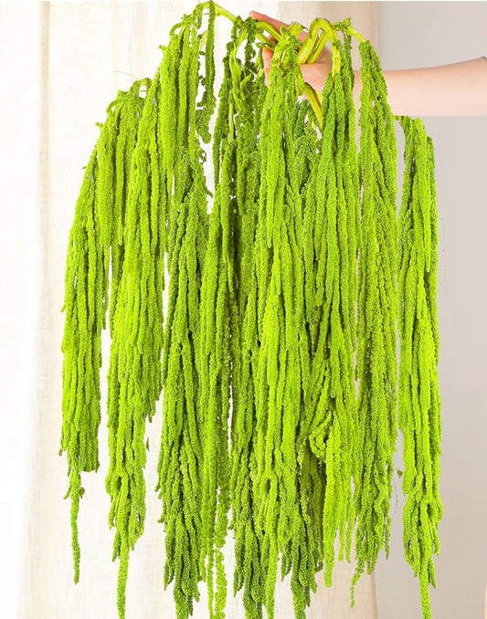 10Pcs Neon Green Dried Amaranthus Hanging Flowers – 23" Dyed Natural Preserved Flowers for Wedding Arch, Floral Garland, Rustic Vase Decor