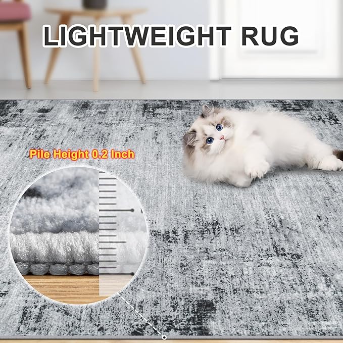 Area Rugs Living Room Rug - 4x6 Washable Modern Abstract Soft Neutral Non-Slip Carpet Large Indoor Floor Thin Carpets for Bedroom Dining Room Farmhouse Nursery Home Office Black