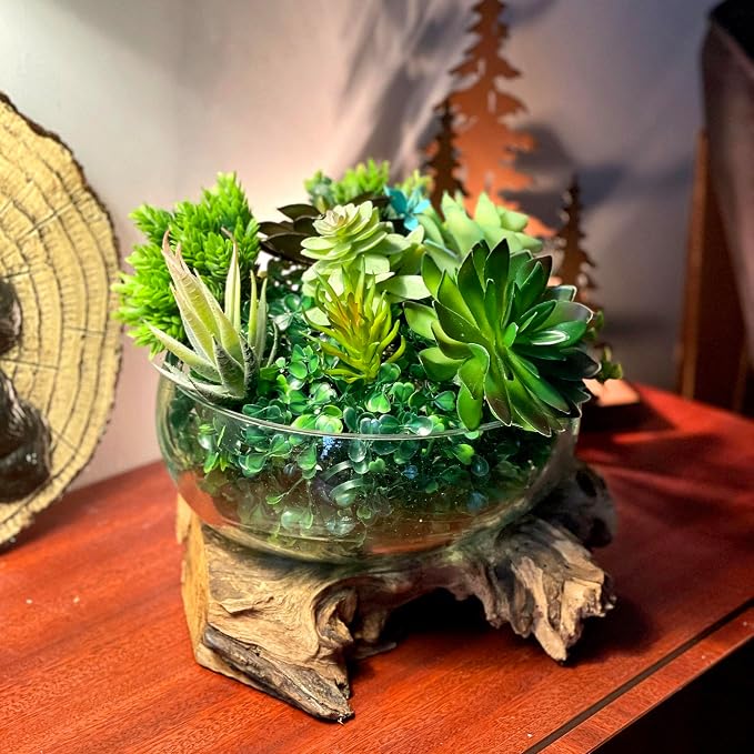 Decorative Vase, 10 Inch Diameter Molten Glass Bowl on Driftwood | Low 6 Inch Profile, Genuine Indonesian Wood, Hand Blown Clear Vessel with Bubbles and Organic Shapes