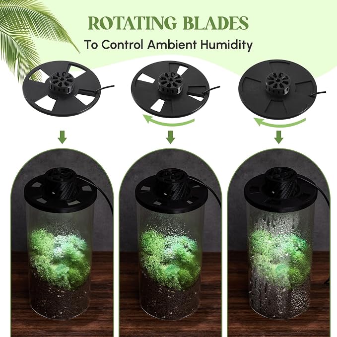 Maxdot Glass Plant Terrarium Kit with LED Grow Light, Desk Terrarium for Venus Fly Trap, Succulents, Moss & Miniature Garden, Borosilicate Glass Desktop Planter for Home Office(7.9 x 3.9 Inch)
