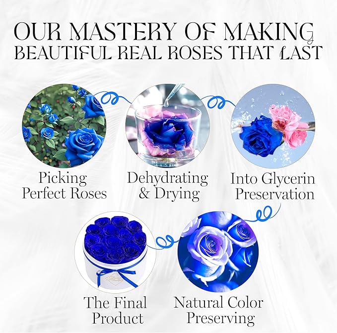 GLAMOUR BOUTIQUE Flower Forever Gift Box, 12 Real Preserved Roses in Round Velvet White Box, Handmade Floral Gift with Rose Petals for Birthday, Anniversary or Graduation, Blue (Color-Treated)