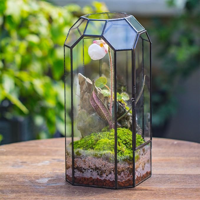 NCYP Glass Geometric Octagon Plant Terrarium with Door 5.5"x5.5"x12.8" | Indoor Vintage Planter for Tall Plants, Orchid, Small Begonia Pitcher, Home Garden Office Tabletop Decor (Terrarium Only)