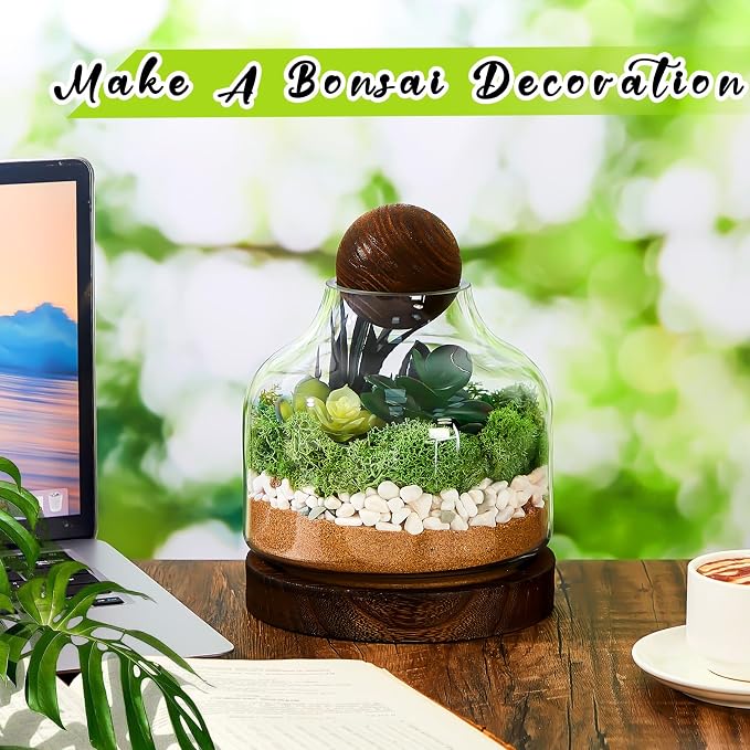 2 Pcs Glass Terrarium Container with Wooden Base and Decorative Ball Lid, 7 Inch DIY Terrarium Jar for Moss, Ferns, Air Plants and Succulents, Mini Indoor Garden Vase for Home Office Desk Decor