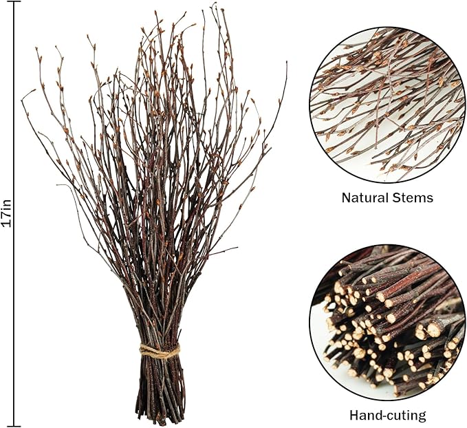200 Pcs Real Dried Birch Branches, 17 Inch Natural Birch Twigs Tall Birch Tree Sticks for Decorative Vases, Crafts, DIY Floral Arrangements Wreath Wedding Centerpiece Home Decor