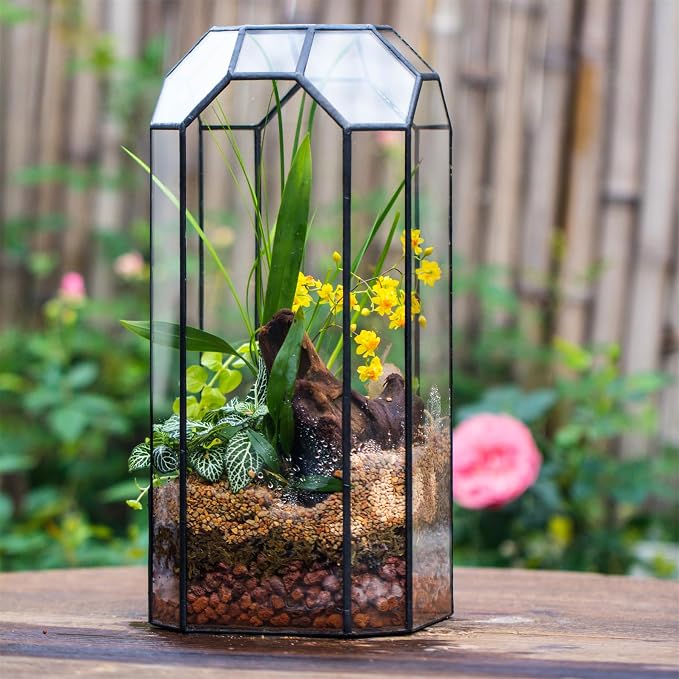 NCYP No Door Glass Geometric Octagon Open Terrarium 5.5"x5.5"x12.8" | Glass Planter for Tall Plants, Orchid, Small Begonia Pitcher, Home Garden Office Decor, Micro landscape (Terrarium Only)