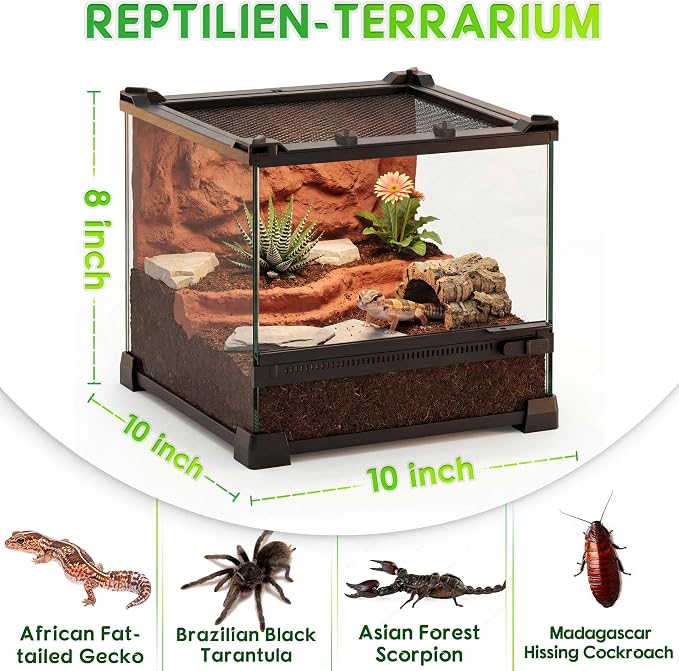 10"x10"x8" Reptile Terrarium, Single-Door Glass Terrestrial Vivarium for Small Desert Reptiles Such as Juvenile Leopard Geckos, with Lock, Cable Port & Waterproof Deep Base Below Front Door