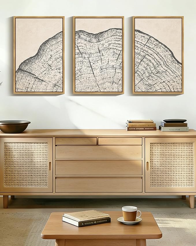 PHOPAGO Farmhouse Vintage Framed Wall Art Large 16x24in Set Gray Wood Tree Ring Spirals Nature Abstract Drawings Rustic Modern Art Decor for Living Room Bedroom - Natural Framed