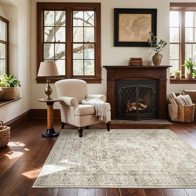 Machine Washable Throw Rugs for Entryway: Door Mat Indoor Entrance 4x6 Small Rug Stain Resistant Non-Slip Low Pile Soft Carpet for Kitchen Front Door Indoor Entry Bathroom Bedroom