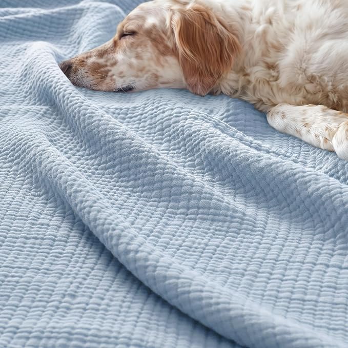 PHF 100% Cotton Muslin Blanket King Size 108"x90", 4-Layer Lightweight Gauze Throw, Breathable Cloud-Soft Minimalist Blanket for Bed, Couch, Camping & Baby, Ancient Water, Ideal Gift