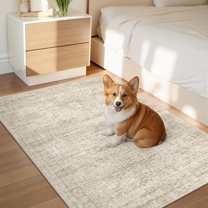 Soalmost 2x3 Washable Rugs for Kitchen, Floor, Entryway, Powder Room Small Area Rug Non-Slip Vintage Low Pile Throw Door Mat Beige