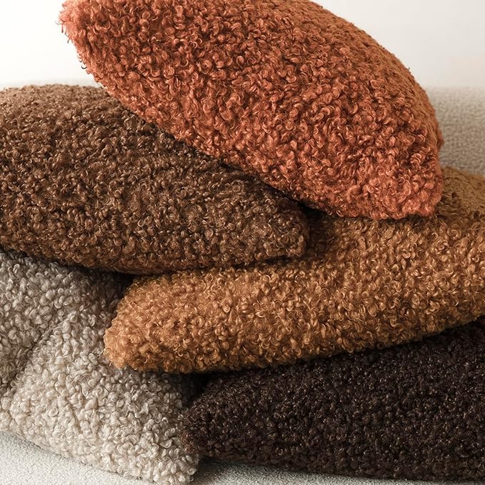 Foindtower 2 Pieces 18x18 Inch Burnt Orange, Faux Fur Throw Pillow Cover Accent Sherpa Furry Pillow Cover Fuzzy Soft Pillowcases Cozy Sheepskin Decorative Fleece Cushion Case for Bed Couch Living Room