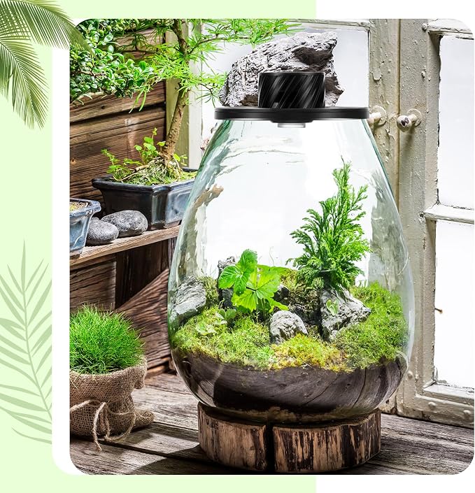 Maxdot Glass Plant Terrarium Kit with LED Grow Light, Desk Terrarium for Venus Fly Trap, Succulents, Moss & Miniature Garden, Borosilicate Glass Desktop Planter for Home Office(6.9 x 7.8 Inch)