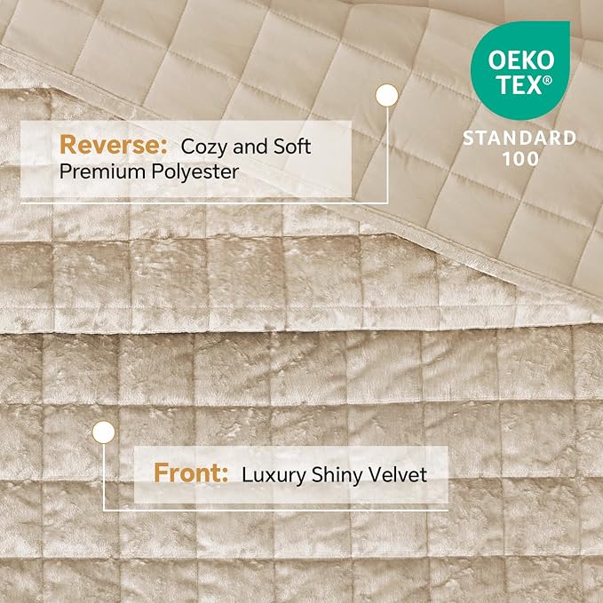 BEDELITE Velvet Quilt Set Queen Size - Luxury Soft Velvet Comforter Bedding Set for All Season, Lightweight Quilted Box Stitch Oversized Bedspread Coverlet with 2 Matching Shams, Shiny Urban Taupe