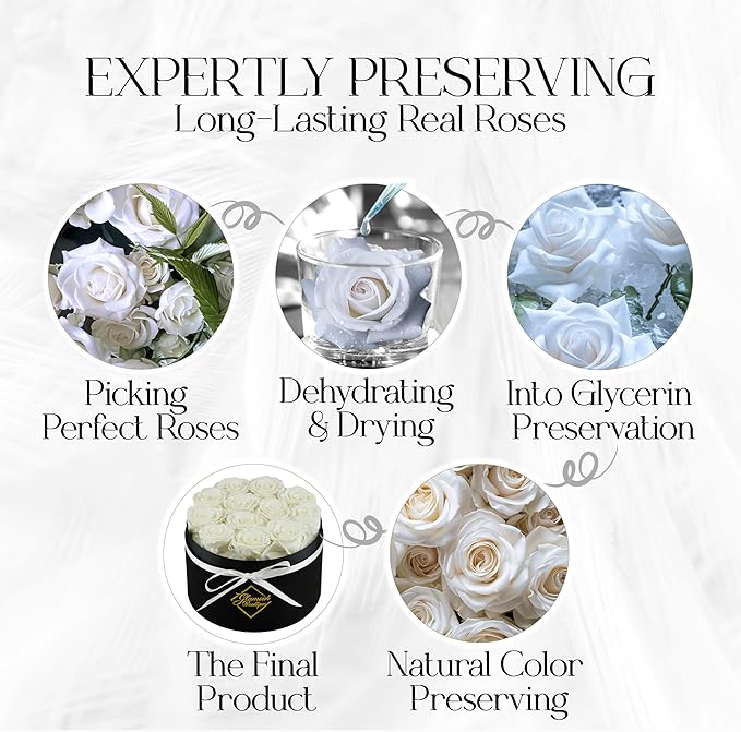 GLAMOUR BOUTIQUE Flowers Forever Gift Box, 12 Real Preserved Roses in Velvet Black Box, Floral Gift for Her, Mom or Wife for Birthday, Mother’s Day, Anniversary or Graduation, White (Color-Treated)