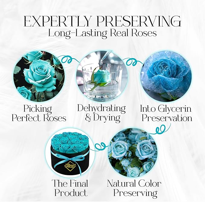 GLAMOUR BOUTIQUE Flowers Forever Gift Box, 12 Real Preserved Roses in Velvet Box, Floral Gift for Her, Mom or Wife for Birthday, Mother’s Day, Anniversary or Graduation, Teal (Color-Treated)