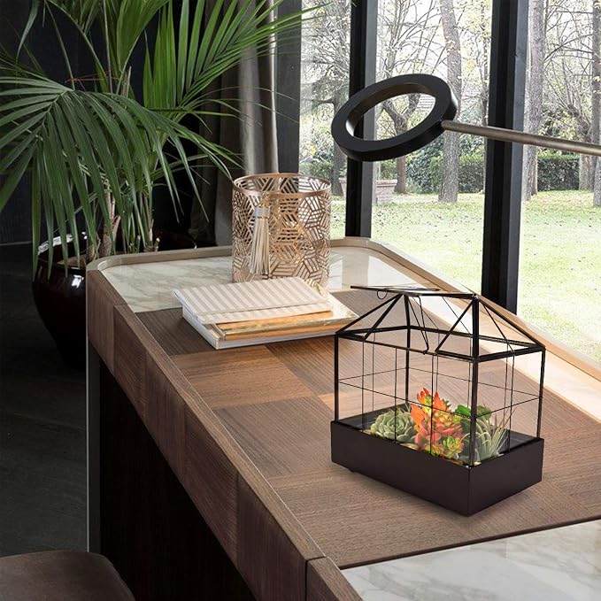 YIMORENCE V Large Tall Plant Terrarium Glass Greenhouse with Lid and Tray, Indoor Tabletop Orchid Succulent Cacti Kit 9.5'X9.8'X5.6'