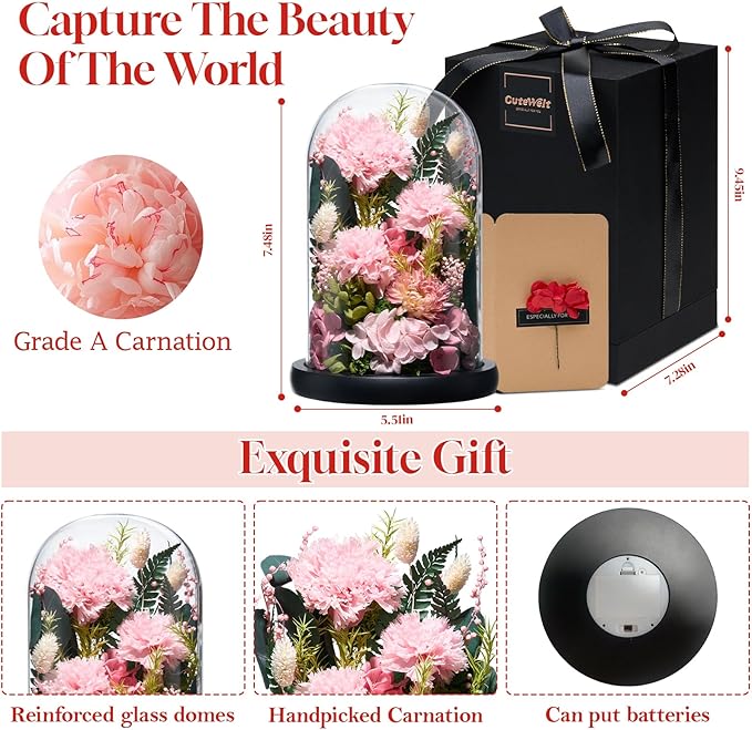 Preserved Roses,Forever Fresh Flowers 7.48in,Gift for Women,Mom,Grandma,Wife,Girlfriend,Sister,and Daughter Perfect for Birthday,Mother’s Day,Valentine’s Day (Thankful Pink3)
