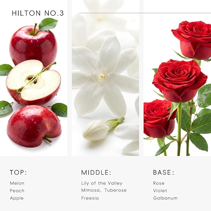 Hotel Diffuser Oil Inspired by The Hilton No.3 Scent - Premium Fragrance Oil No. SA61089182 for Ultrasonic and Waterless Diffusers - 250 mL, 8fl oz