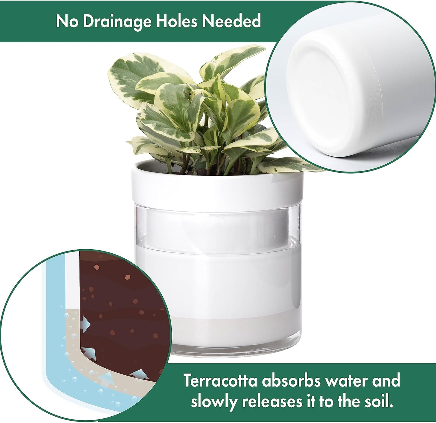 Phoenix Vine 6 Inch 4 Inch Self Watering Planter, White Terracotta Clay Pots with Glass Reservoir for Indoor Plants, Herbs, Flowers, 52-B-G-46