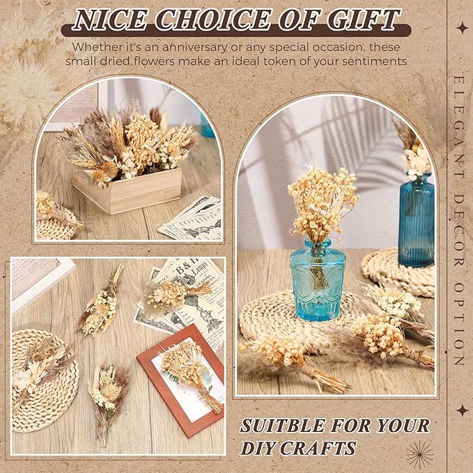 Layhit 24 Pcs Boho Dried Flower Bouquet Mini Wedding Handmade Dry Flowers Decor for Vase Crafts DIY Photo Boutonniere for Men Floral Plant for Bridesmaid Gift Birthday Decor(Stylish)