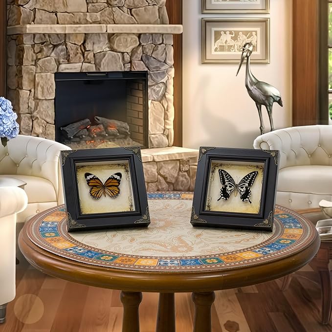 Handmade Real Butterfly Taxidermy Framed - 5-Piece Gift Set for Mother's Day - Gothic Home Decor and Vintage Frame - Butterflies Taxidermy Shadow Box Collection (Great Orange Tip Butterfly)