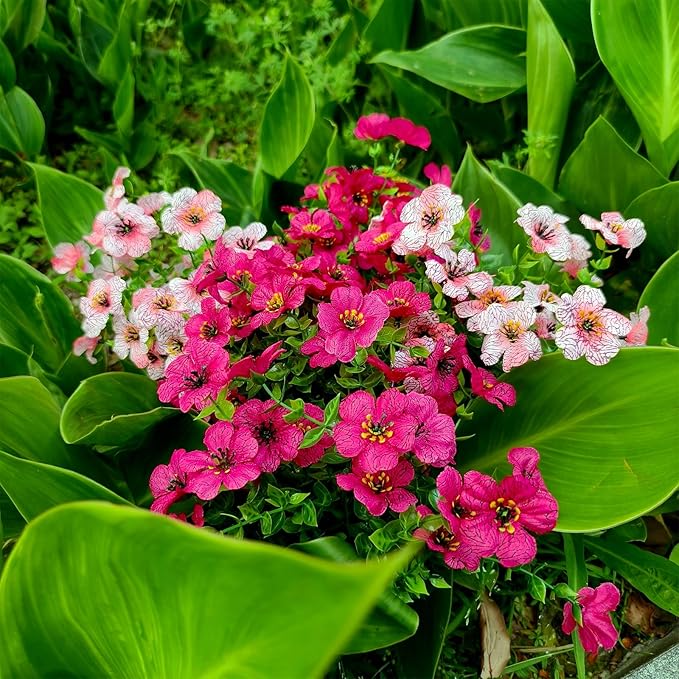 WEAUSUP 28 Bundles Artificial Plants & Flowers Silk Fake Flowers UV Resistant Bushes Plastic Artificial Flowers Faux Outdoor Indoor Plants for Spring Summer Patio Decorations(7 Colors)