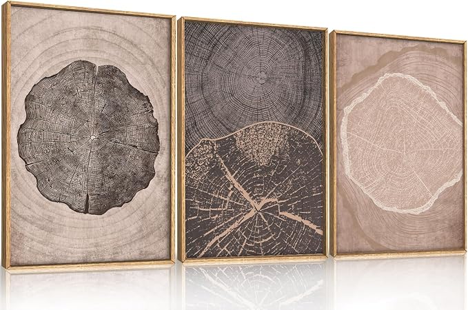 HOURIA Neutral Brown Tree Rings Framed Canvas Wall Art Set,Vintage Abstract Dark Gray Wood Stump Wall Decor,Modern Minimalist Wood Grain Slice Artwork for Living Room,Bedroom,Farmhouse- 16"x24"x3